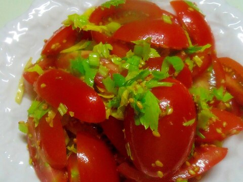 トマトとセロリのサラダ